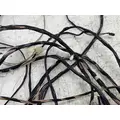FREIGHTLINER A66-14541-030 Wiring Harness thumbnail 3