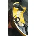 FREIGHTLINER B2 HOOD thumbnail 11