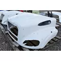 FREIGHTLINER Business Class M2 112 Hood thumbnail 2