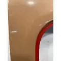 FREIGHTLINER Business Class M2 Door Assembly, Front thumbnail 20