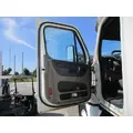 FREIGHTLINER CASCADIA 113-125 DOOR ASSEMBLY, FRONT thumbnail 1
