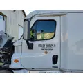 FREIGHTLINER CASCADIA 113-125 DOOR ASSEMBLY, FRONT thumbnail 1