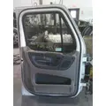 FREIGHTLINER CASCADIA 113-125 DOOR ASSEMBLY, FRONT thumbnail 2