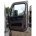 FREIGHTLINER CASCADIA 113-125 DOOR ASSEMBLY, FRONT thumbnail 2
