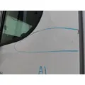 FREIGHTLINER CASCADIA 113-125 DOOR ASSEMBLY, FRONT thumbnail 2