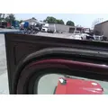 FREIGHTLINER CASCADIA 113-125 DOOR ASSEMBLY, FRONT thumbnail 4