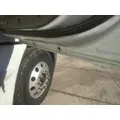 FREIGHTLINER CASCADIA 113-125 DOOR ASSEMBLY, FRONT thumbnail 3