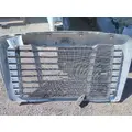 FREIGHTLINER CASCADIA 113 2007-2018 GRILLE thumbnail 2