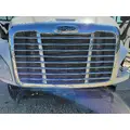 FREIGHTLINER CASCADIA 113 2007-2018 GRILLE thumbnail 1