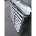 FREIGHTLINER CASCADIA 113 2007-2018 GRILLE thumbnail 4