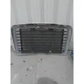 FREIGHTLINER CASCADIA 113 2007-2018 GRILLE thumbnail 6