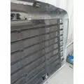 FREIGHTLINER CASCADIA 113 2007-2018 GRILLE thumbnail 8