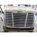 FREIGHTLINER CASCADIA 113 2007-2018 GRILLE thumbnail 1