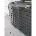 FREIGHTLINER CASCADIA 113 2008-2015 GRILLE thumbnail 7