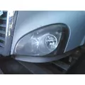 FREIGHTLINER CASCADIA 113 2008-2020 HOOD thumbnail 2