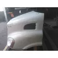 FREIGHTLINER CASCADIA 113 2008-2020 HOOD thumbnail 15