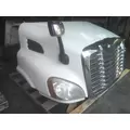 FREIGHTLINER CASCADIA 113 2008-2020 HOOD thumbnail 5