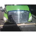 FREIGHTLINER CASCADIA 113 2008-2020 HOOD thumbnail 7