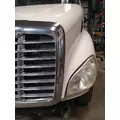 FREIGHTLINER CASCADIA 113 2008-2020 HOOD thumbnail 2