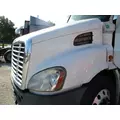 FREIGHTLINER CASCADIA 113 2008-2020 HOOD thumbnail 2