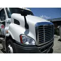 FREIGHTLINER CASCADIA 113 2008-2020 HOOD thumbnail 3