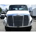 FREIGHTLINER CASCADIA 113 2008-2020 HOOD thumbnail 1