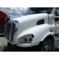 FREIGHTLINER CASCADIA 113 2008-2020 HOOD thumbnail 2