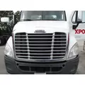 FREIGHTLINER CASCADIA 113 2008-2020 HOOD thumbnail 1