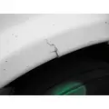 FREIGHTLINER CASCADIA 113 2008-2020 HOOD thumbnail 3