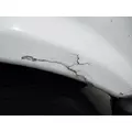 FREIGHTLINER CASCADIA 113 2008-2020 HOOD thumbnail 5
