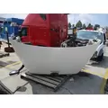 FREIGHTLINER CASCADIA 113 2008-2020 HOOD thumbnail 8