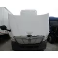 FREIGHTLINER CASCADIA 113 2008-2020 HOOD thumbnail 4