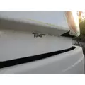 FREIGHTLINER CASCADIA 113 2008-2020 HOOD thumbnail 4