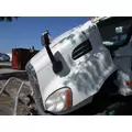 FREIGHTLINER CASCADIA 113 2008-2020 HOOD thumbnail 2
