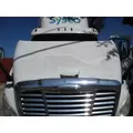 FREIGHTLINER CASCADIA 113 2008-2020 HOOD thumbnail 4