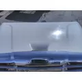 FREIGHTLINER CASCADIA 113 2008-2020 HOOD thumbnail 4