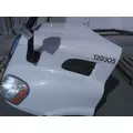 FREIGHTLINER CASCADIA 113 2008-2020 HOOD thumbnail 3