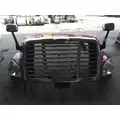 FREIGHTLINER CASCADIA 113 2008-2020 HOOD thumbnail 5