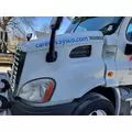 FREIGHTLINER CASCADIA 113 2008-2020 HOOD thumbnail 3
