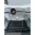 FREIGHTLINER CASCADIA 113 2008-2020 HOOD thumbnail 13