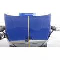FREIGHTLINER CASCADIA 113 2008-2020 HOOD thumbnail 11