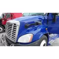 FREIGHTLINER CASCADIA 113 2008-2020 HOOD thumbnail 13
