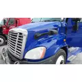 FREIGHTLINER CASCADIA 113 2008-2020 HOOD thumbnail 2