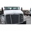 FREIGHTLINER CASCADIA 113 2008-2020 HOOD thumbnail 1