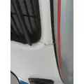 FREIGHTLINER CASCADIA 113 2008-2020 HOOD thumbnail 13