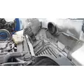 FREIGHTLINER CASCADIA 113 2008-2020 HOOD thumbnail 9