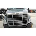 FREIGHTLINER CASCADIA 113 2008-2020 HOOD thumbnail 1