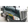 FREIGHTLINER CASCADIA 113 2008-2020 HOOD thumbnail 2