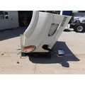 FREIGHTLINER CASCADIA 113 2008-2020 HOOD thumbnail 9