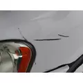 FREIGHTLINER CASCADIA 113 2008-2020 HOOD thumbnail 4